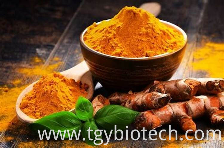 Tumeric Extract